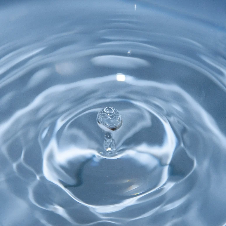 david-becker-rrfdqjJWwmU-unsplash